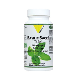 Basilic Sacré Bio VIT'ALL+