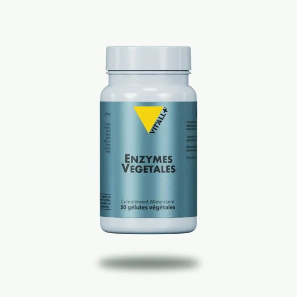 ENZYMES VÉGÉTALES VIT'ALL+