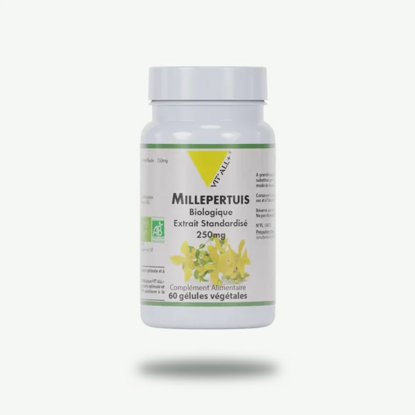 MILLEPERTUIS BIO* 250mg Extrait Standardisé