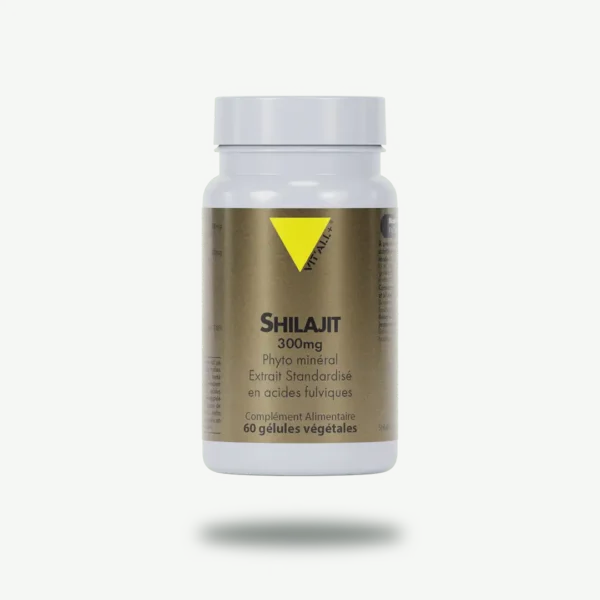SHILAJIT Extrait Standardisé VIT'ALL+