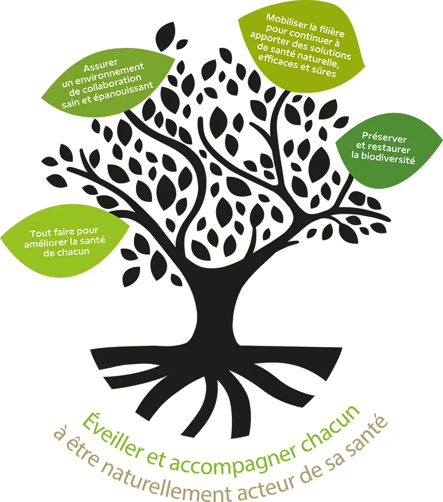 Arbre questionnaire