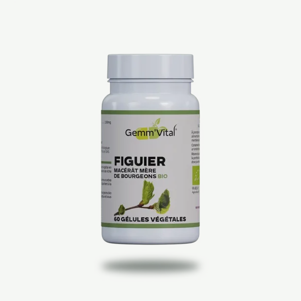 BOURGEON DE FIGUIER BIO* - Gemmothérapie VIT'ALL+