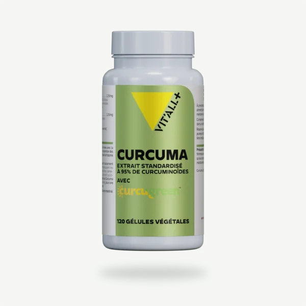 CURCUMA 250mg Extrait Standardisé VIT'ALL+
