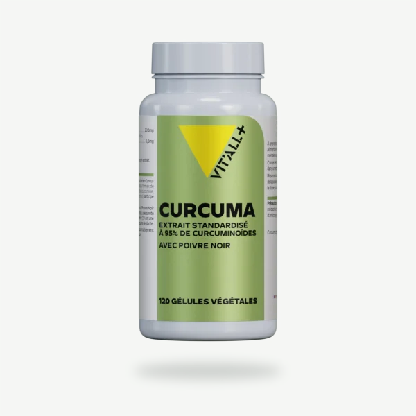 CURCUMA Extraits Standardisés avec POIVRE NOIR VIT'ALL+