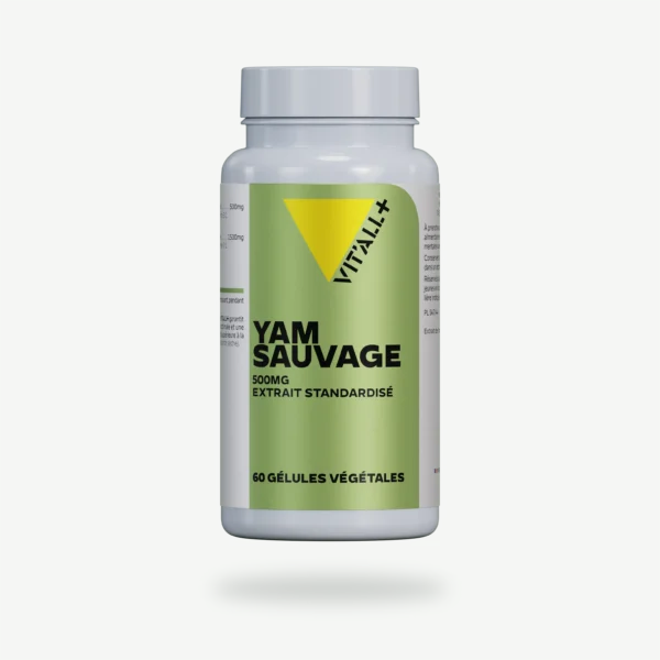 YAM SAUVAGE 500mg Extrait Standardisé VIT'ALL+