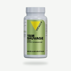 YAM SAUVAGE 500mg Extrait Standardisé 180 gélules VIT'ALL+