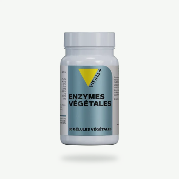 ENZYMES VÉGÉTALES VIT'ALL+
