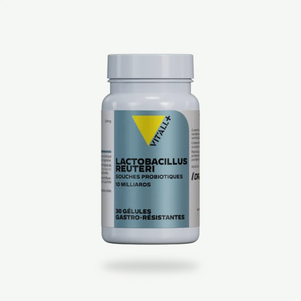 LACTOBACILLUS REUTERI 100mg (enrobage gastro-résistant) VIT'ALL+