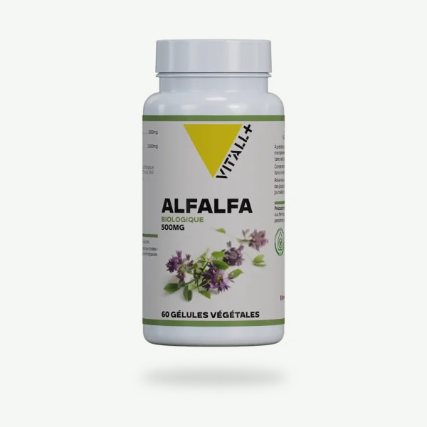 ALFALFA BIO* 500mg VIT'ALL+