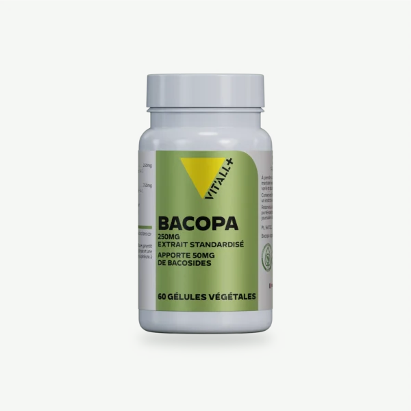 BACOPA MONNIERI 250mg Extrait Standardisé - Apporte 50mg de bacosides VIT'ALL+