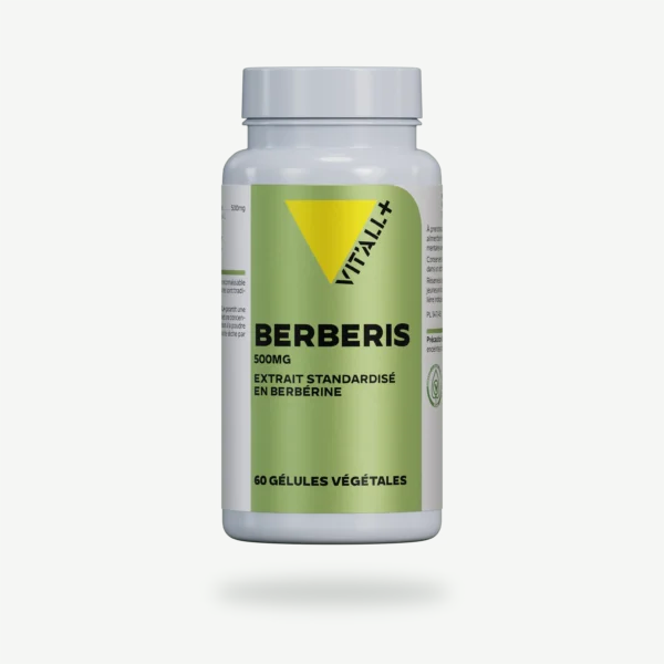 BERBERIS 500mg Extrait Standardisé en Berberine VIT'ALL+