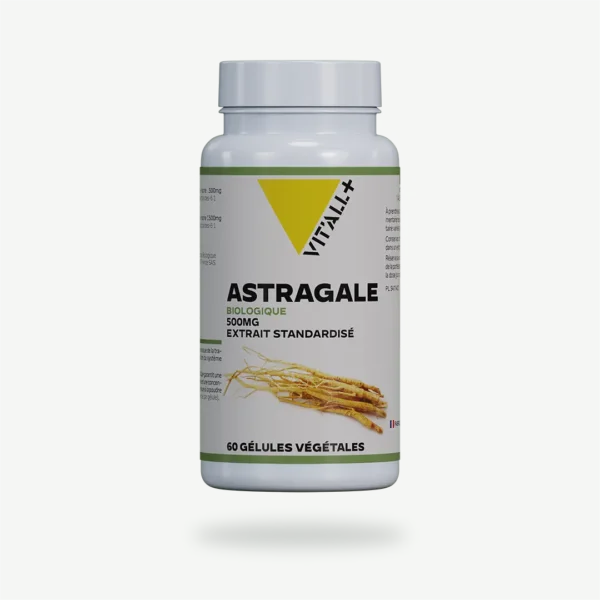 ASTRAGALE BIO* 500mg VIT'ALL+