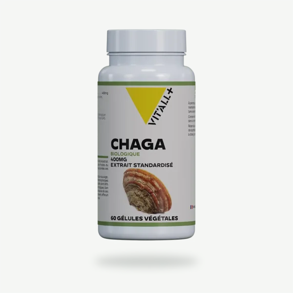 CHAGA BIO* 400mg Extrait Standardisé VIT'ALL+