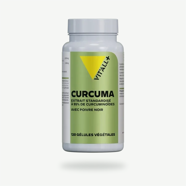 CURCUMA Extraits Standardisés avec POIVRE NOIR VIT'ALL+