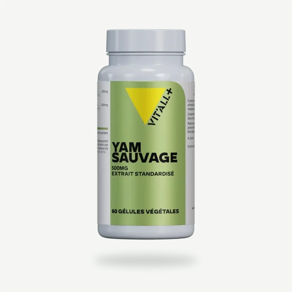YAM SAUVAGE 500mg Extrait Standardisé VIT'ALL+