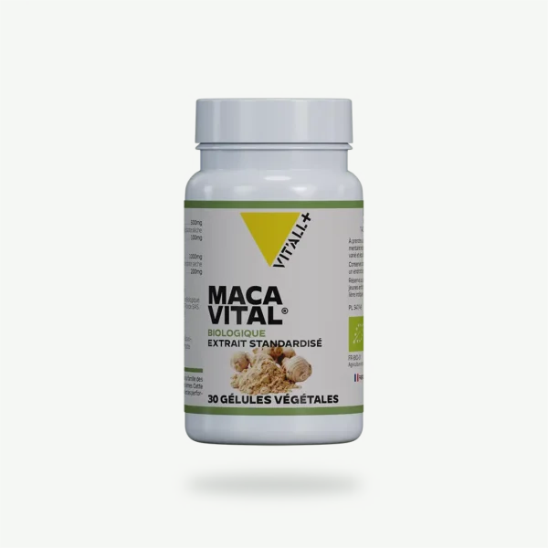 MACA VITAL® BIO* 500mg Extrait Standardisé 30 gélules VIT'ALL+