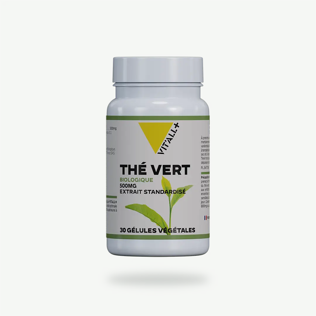 THÉ VERT BIO* 500mg THE VERT BIO* 500mg Extrait Standardisé VIT'ALL+