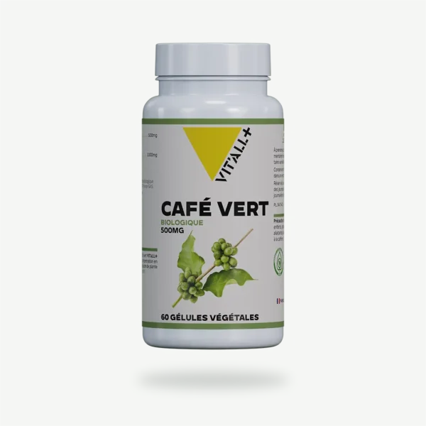 CAFE VERT BIO* 500mg Extrait Standardisé VIT'ALL+