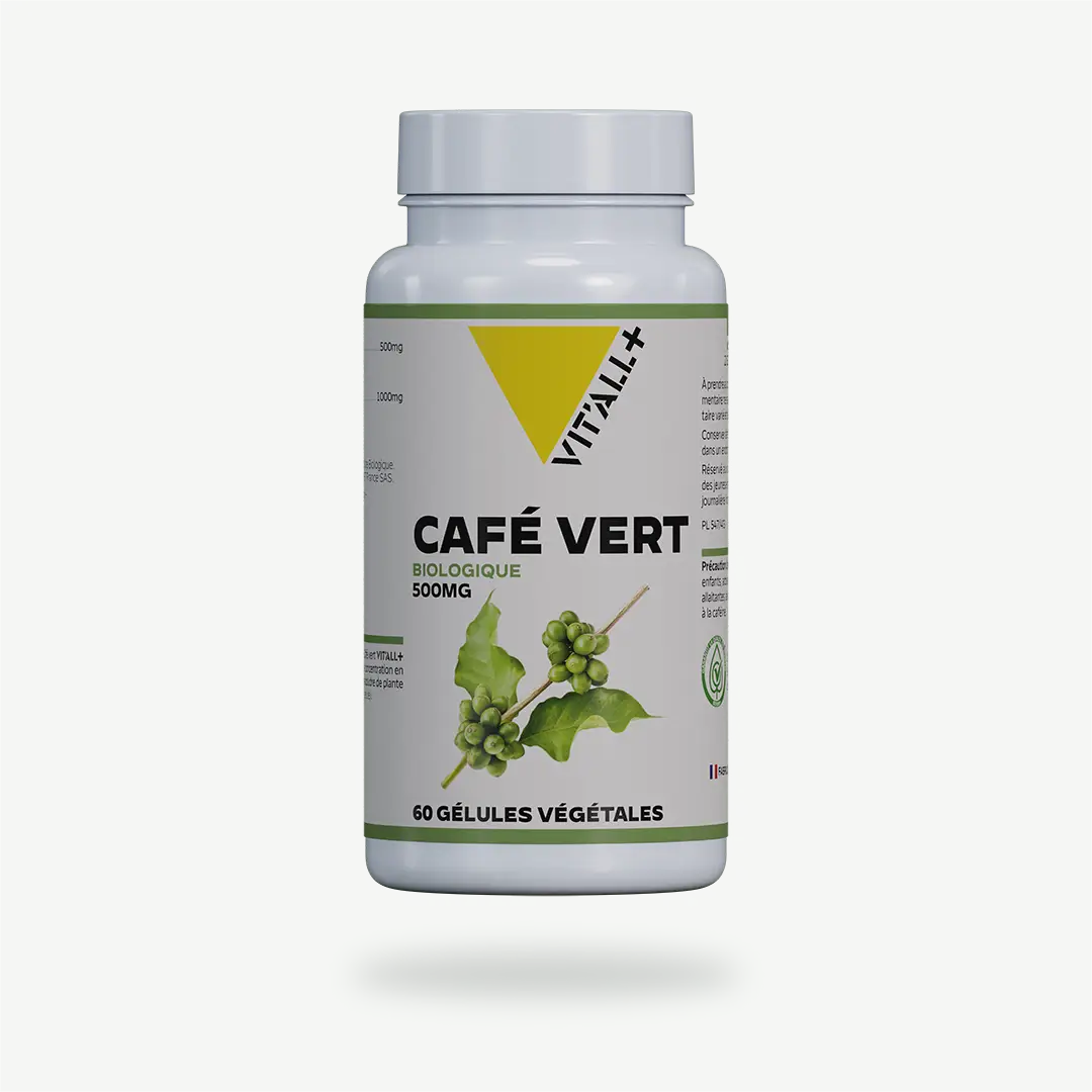 CAFÉ VERT BIO* 500mg CAFE VERT BIO* 500mg Extrait Standardisé VIT'ALL+