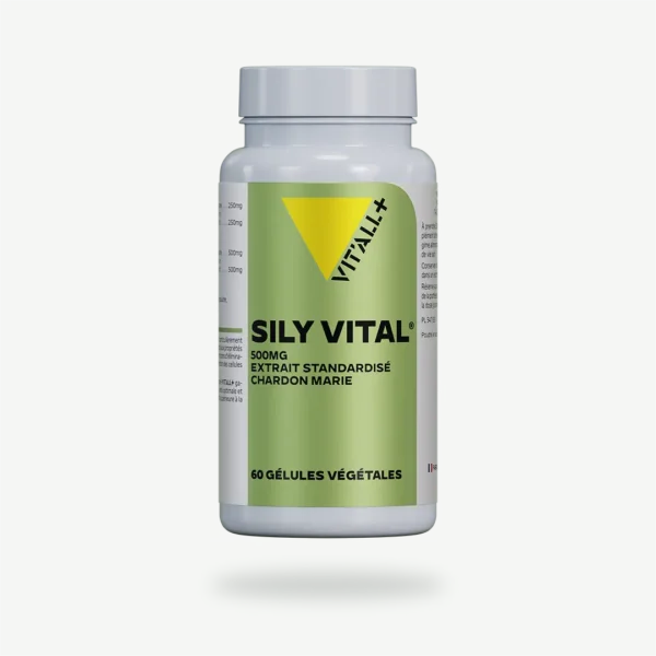 SILY VITAL® (Chardon Marie, Silymarine) Extrait Standardisé VIT'ALL+