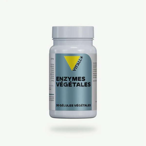 ENZYMES VÉGÉTALES VIT'ALL+